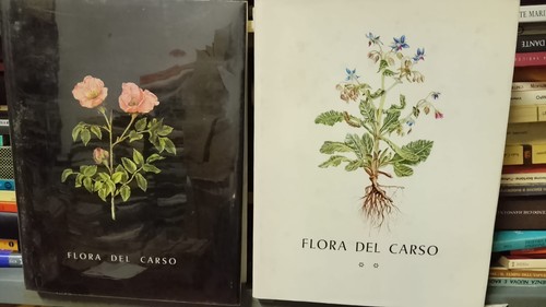 Flora del carso volumi - del,
