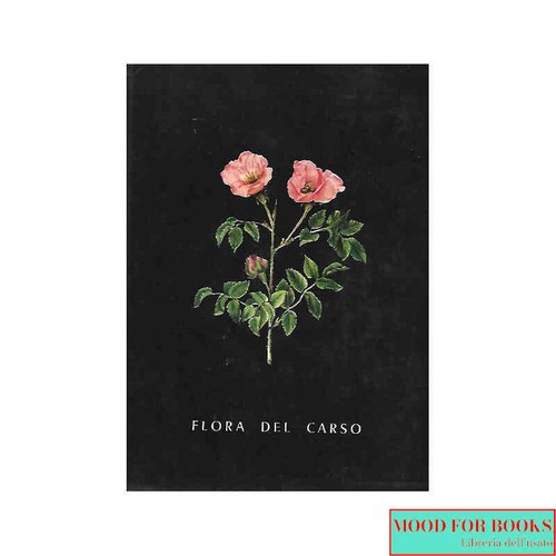 Renato mezzena flora del - -,